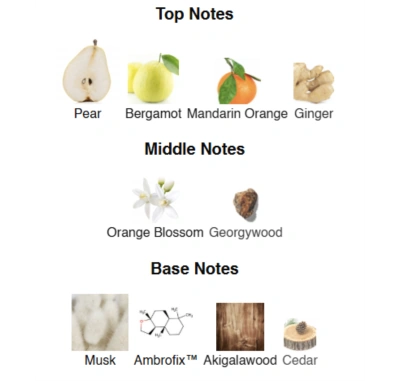 Alex Horse Aqua Amulet ACCENT Unisex Парфумована вода 50 ml (AA-002)