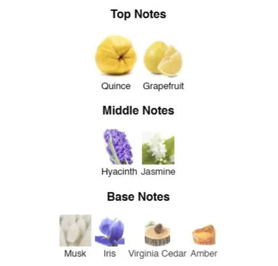 Нішевий парфумерний екстракт для жінок Eau Legere AVA-De Luxe NICHE PERFUME 100 ml AD-10