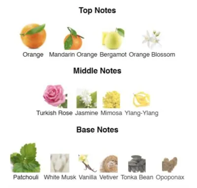 Нішевий парфумерний екстракт для жінок Miss Elegance AVA-De Luxe NICHE PERFUME 100 ml AD-11