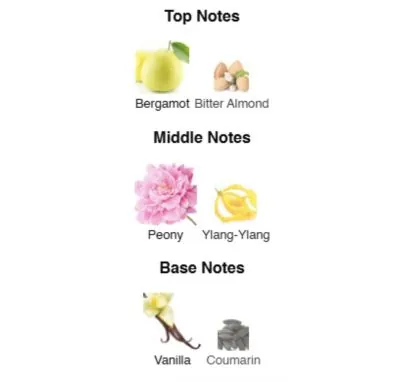 Нішевий парфумерний екстракт для жінок Blushing Elegance AVA-De Luxe NICHE PERFUME 100 ml AD-16