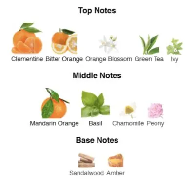 Нішевий парфумерний екстракт для жінок Juicy Mandarin AVA-De Luxe NICHE PERFUME 100 ml AD-17