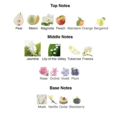 Нішевий парфумерний екстракт для жінок I Adore AVA-De Luxe NICHE PERFUME 100 ml AD-18