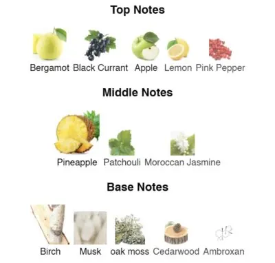 Нішевий парфумерний екстракт для чоловіків Adventurer AVA-De Luxe NICHE PERFUME 100 ml AD-21