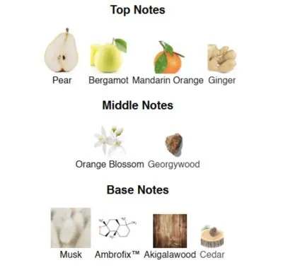 Нішевий парфумерний екстракт унісекс Aqua Amulet AVA-De Luxe NICHE PERFUME 100 ml AD-22