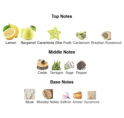 Нішевий парфумерний екстракт для чоловіків Fresh AVA-De Luxe NICHE PERFUME 100 ml AD-26