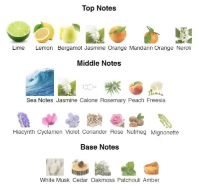 Нішевий парфумерний екстракт для чоловіків Agua de Alegrнa AVA-De Luxe NICHE PERFUME 100 ml AD-30