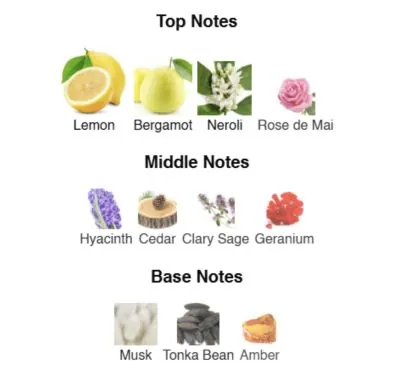 Нішевий парфумерний екстракт для чоловіків Valiant AVA-De Luxe NICHE PERFUME 100 ml AD-31