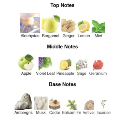 Нішевий парфумерний екстракт для чоловіків Yes AVA-De Luxe NICHE PERFUME 100 ml AD-32