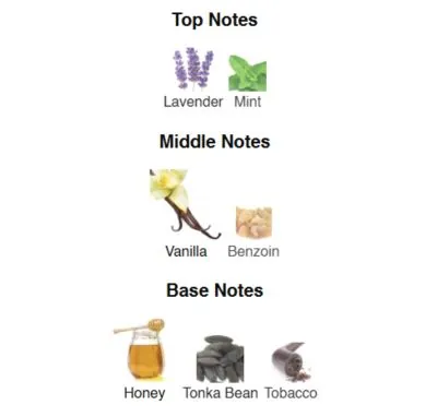 Нішевий парфумерний екстракт для чоловіків Elixir for Gentlemen AVA-DeLuxe NICHE PERFUME 100ml AD-33