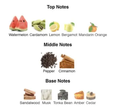 Нішевий парфумерний екстракт для чоловіків True Confidence AVA-De Luxe NICHE PERFUM 100 ml AD-34