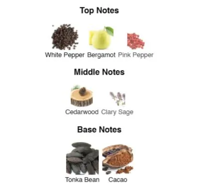 Нішевий парфумерний екстракт для чоловіків Rebel Boy AVA-De Luxe NICHE PERFUME 100 ml AD-36