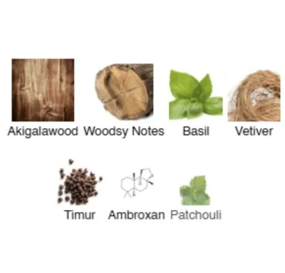 Нішевий парфумерний екстракт унісекс Bois Mystique AVA-De Luxe NICHE PERFUME 100 ml AD-38