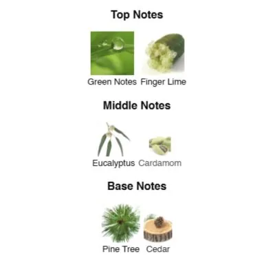 Нішевий парфумерний екстракт для чоловіків White Energy AVA-De Luxe NICHE PERFUME 100 ml AD-39