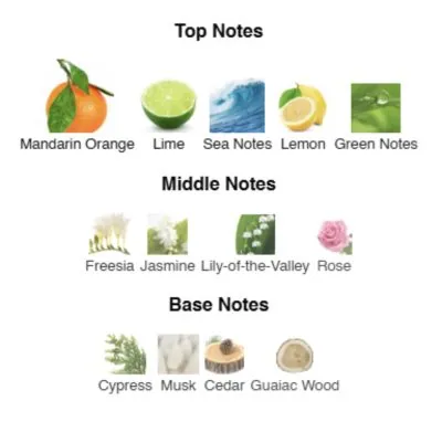 Нішевий парфумерний екстракт для чоловіків Joyful Man AVA-De Luxe NICHE PERFUME 100 ml AD-40