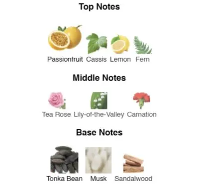 Нішевий парфумерний екстракт унісекс Celestial Queen AVA-De Luxe NICHE PERFUM 100 ml AD-08