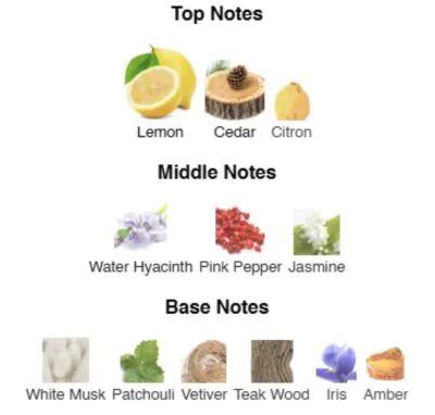 Нішевий парфумерний екстракт для жінок Dewy Delight AVA-De Luxe NICHE PERFUME 100 ml AD-09