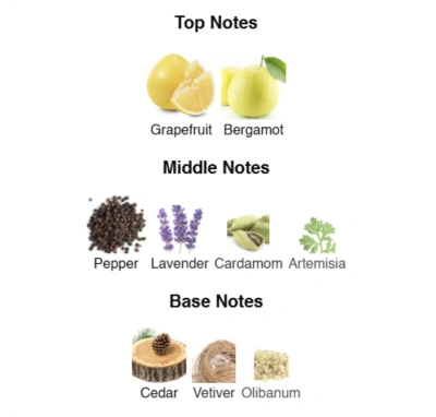 Парфумована вода для чоловіків Skyline ACCENT Alex Horse 50 ml AA-008