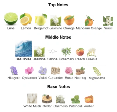 Парфумована вода для чоловіків Agua de Alegría ACCENT Alex Horse 50 ml AA-010