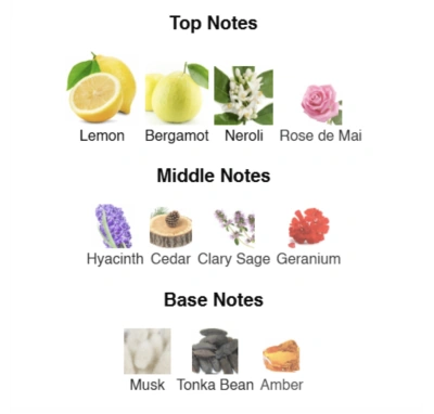 Парфумована вода для чоловіків Valiant ACCENT Alex Horse 50 ml AA-011