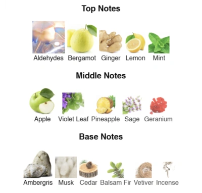 Парфумована вода для чоловіків Yes ACCENT Alex Horse 50 ml AA-012