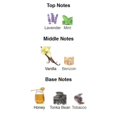 Парфумована вода для чоловіків Elixir for Gentlemen ACCENT Alex Horse 50 ml AA-013