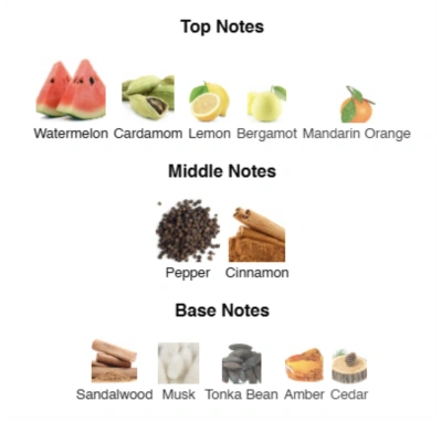 Парфумована вода для чоловіків True Confidence ACCENT Alex Horse 50 ml AA-014