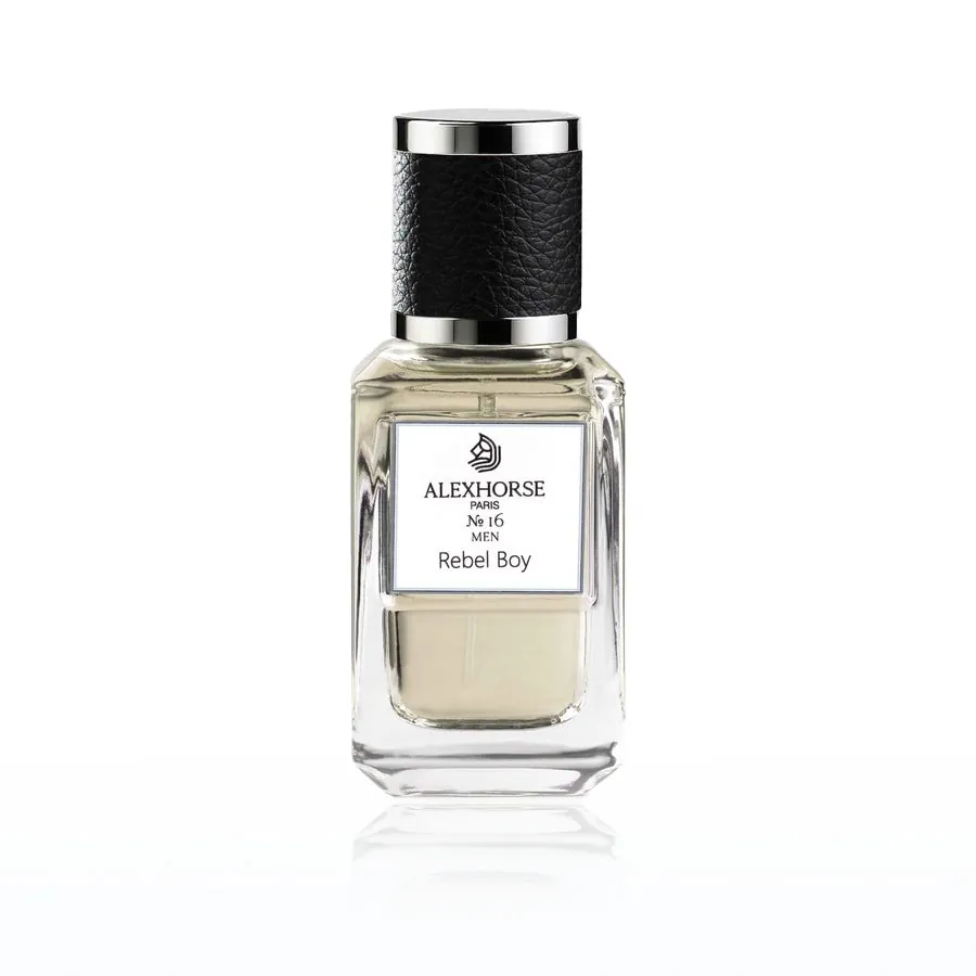 Парфумована вода для чоловіків Rebel Boy ACCENT Alex Horse 50 ml AA-016