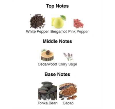 Парфумована вода для чоловіків Rebel Boy ACCENT Alex Horse 50 ml AA-016