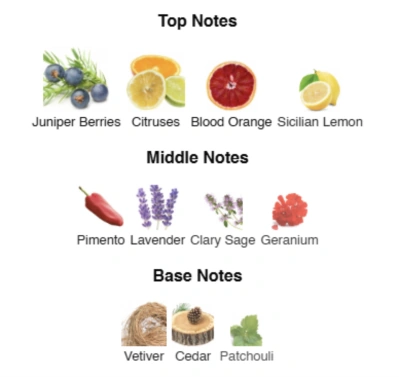 Парфумована вода для чоловіків Royal Aroma ACCENT Alex Horse 50 ml AA-017