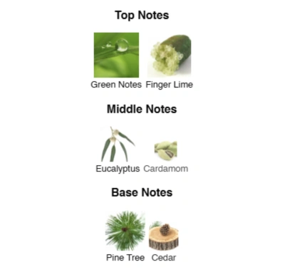 Парфумована вода для чоловіків White Energy ACCENT Alex Horse 50 ml AA-019