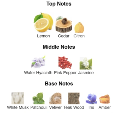 Парфумована вода для жінок Dewy Delight ACCENT Alex Horse 50 ml AA-047