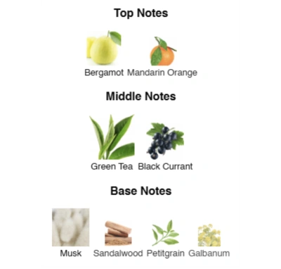 Парфумована вода унісекс Silver Cascade ACCENT Alex Horse 50 ml AA-050