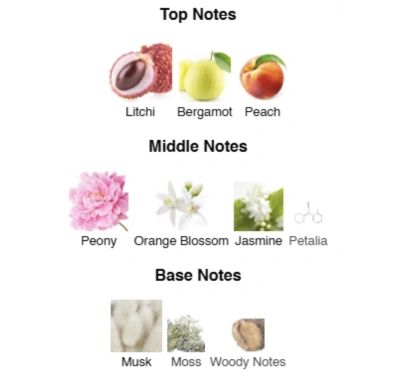 Парфумована вода унісекс Narcotic Bloom ACCENT Alex Horse 50 ml AA-052