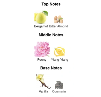 Парфумована вода для жінок Blushing Elegance ACCENT Alex Horse 50 ml AA-057