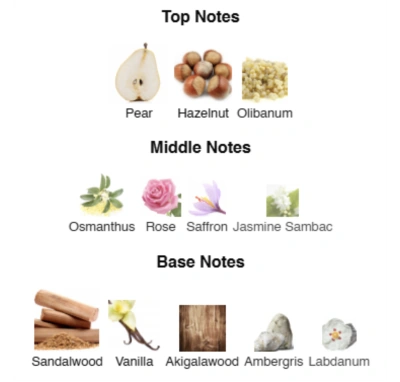 Парфумована вода унісекс Soul’s Voyage ACCENT Alex Horse 50 ml AA-059