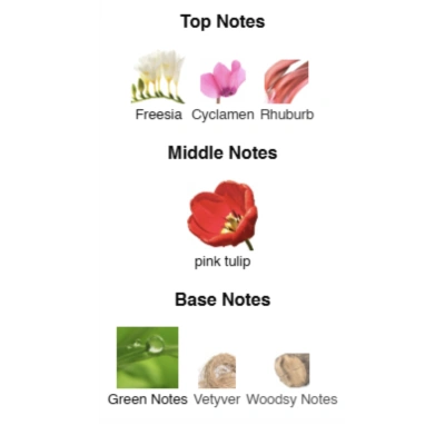 Парфумована вода для жінок Radiant Tulip ACCENT Alex Horse 50 ml AA-069