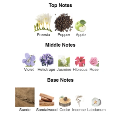 Парфумована вода для жінок Active Grace ACCENT Alex Horse 50 ml AA-070