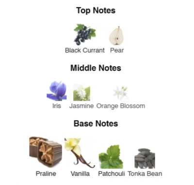 Парфумована вода для жінок Life Is Beautiful ACCENT Alex Horse 50 ml AA-071