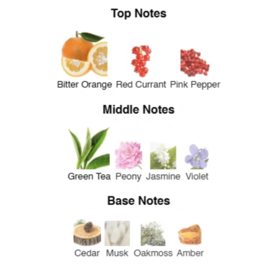 Парфумована вода для жінок Radiant Joy ACCENT Alex Horse 50 ml AA-079