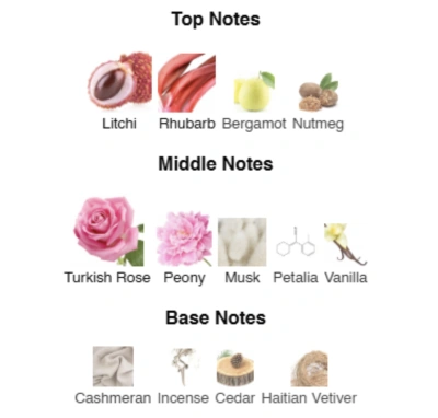 Парфумована вода для жінок Divine Elegance ACCENT Alex Horse 50 ml AA-083