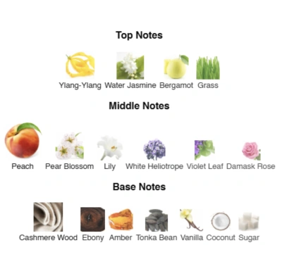 Парфумована вода унісекс Galactic Grace ACCENT Alex Horse 50 ml AA-087