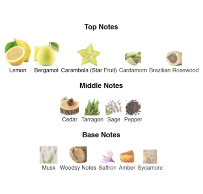 Парфумована вода для хлопчиків Pure Aqua ACCENT Alex Horse50 ml AA-096