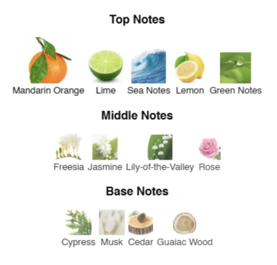 Парфумована вода для хлопчиків Joyful Boy ACCENT Alex Horse 50 ml AA-098