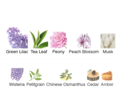 Парфумована вода для дівчаток Shining Notes ACCENT Alex Horse 50 ml AA-100