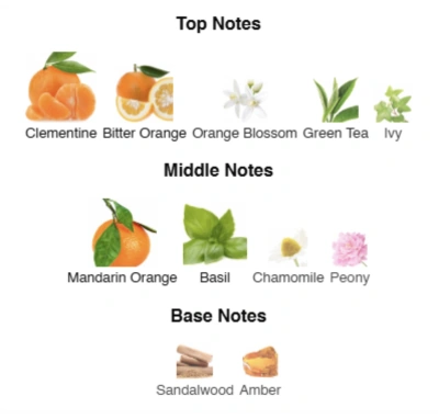 Парфумована вода для жінок Juicy Mandarin AVA LOVE 50 ml AL-03