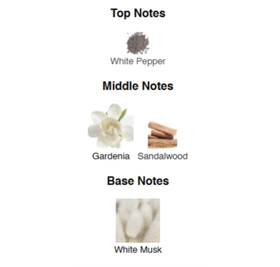 Парфумована вода унісекс Musk Mirage AVA LOVE 50 ml AL-04