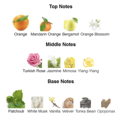 Парфумована вода для жінок Miss Elegance AVA LOVE 50 ml AL-09