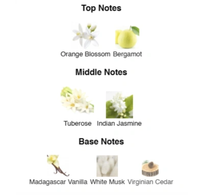 Парфумована вода для жінок Path to Me AVA LOVE 50 ml AL-12