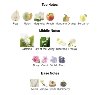 Парфумована вода для жінок I Adore AVA LOVE 50 ml AL-16