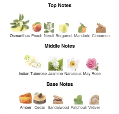 Парфумована вода для жінок Bad Girl’s Allure AVA LOVE 50 ml AL-17